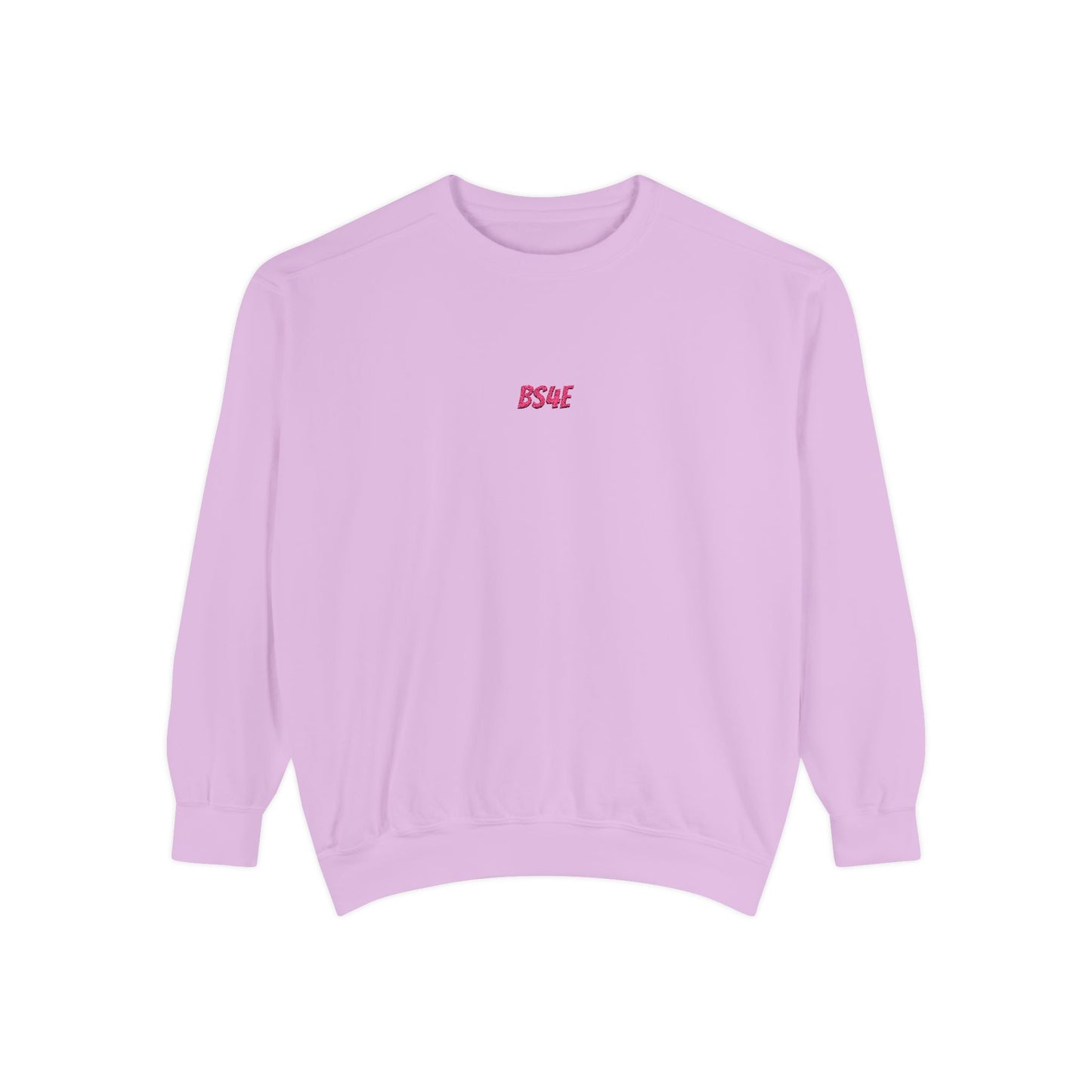 BS4E Embroidered Crewneck